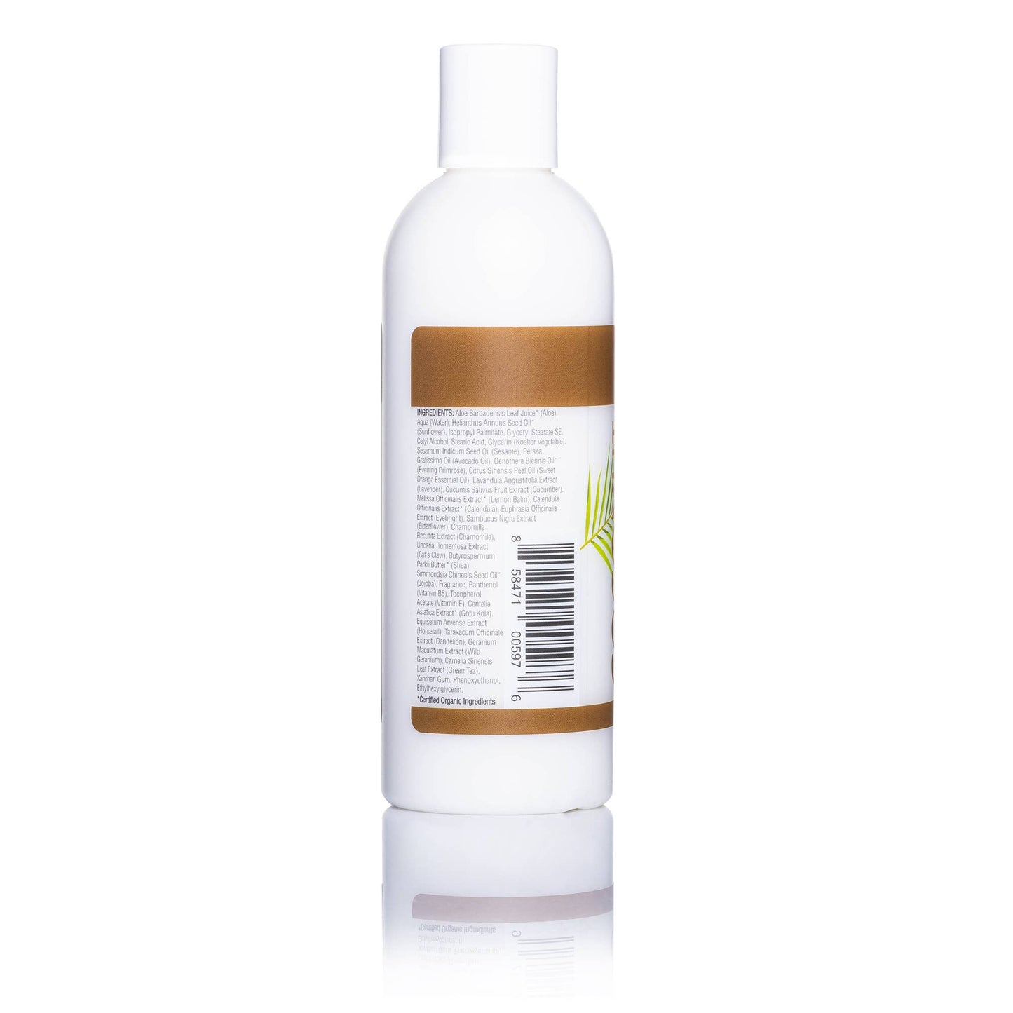 Coconut Body Lotion