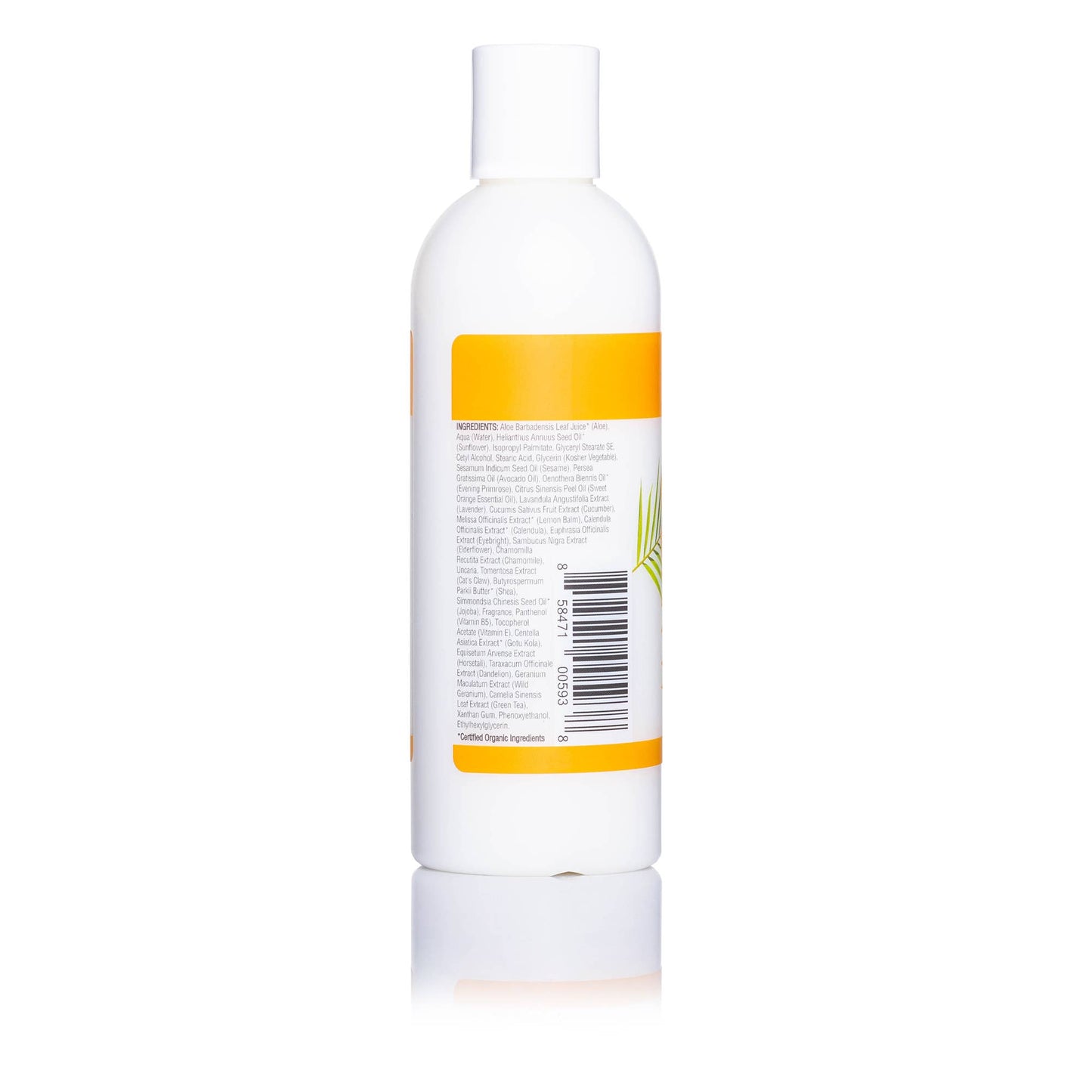 Mango Body Lotion w/ Avocado Oil, Cucumber & Vit. E