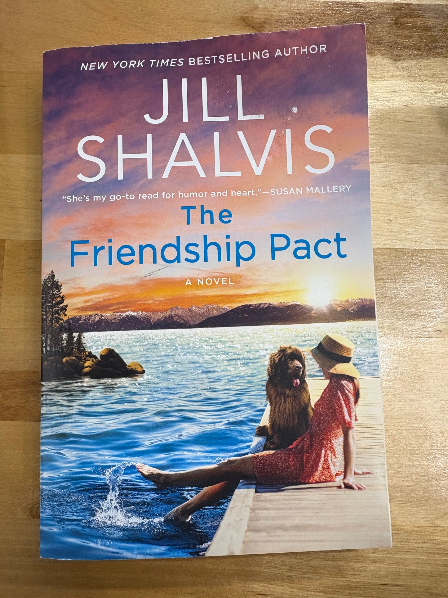 The Friendship Pact: A Novel