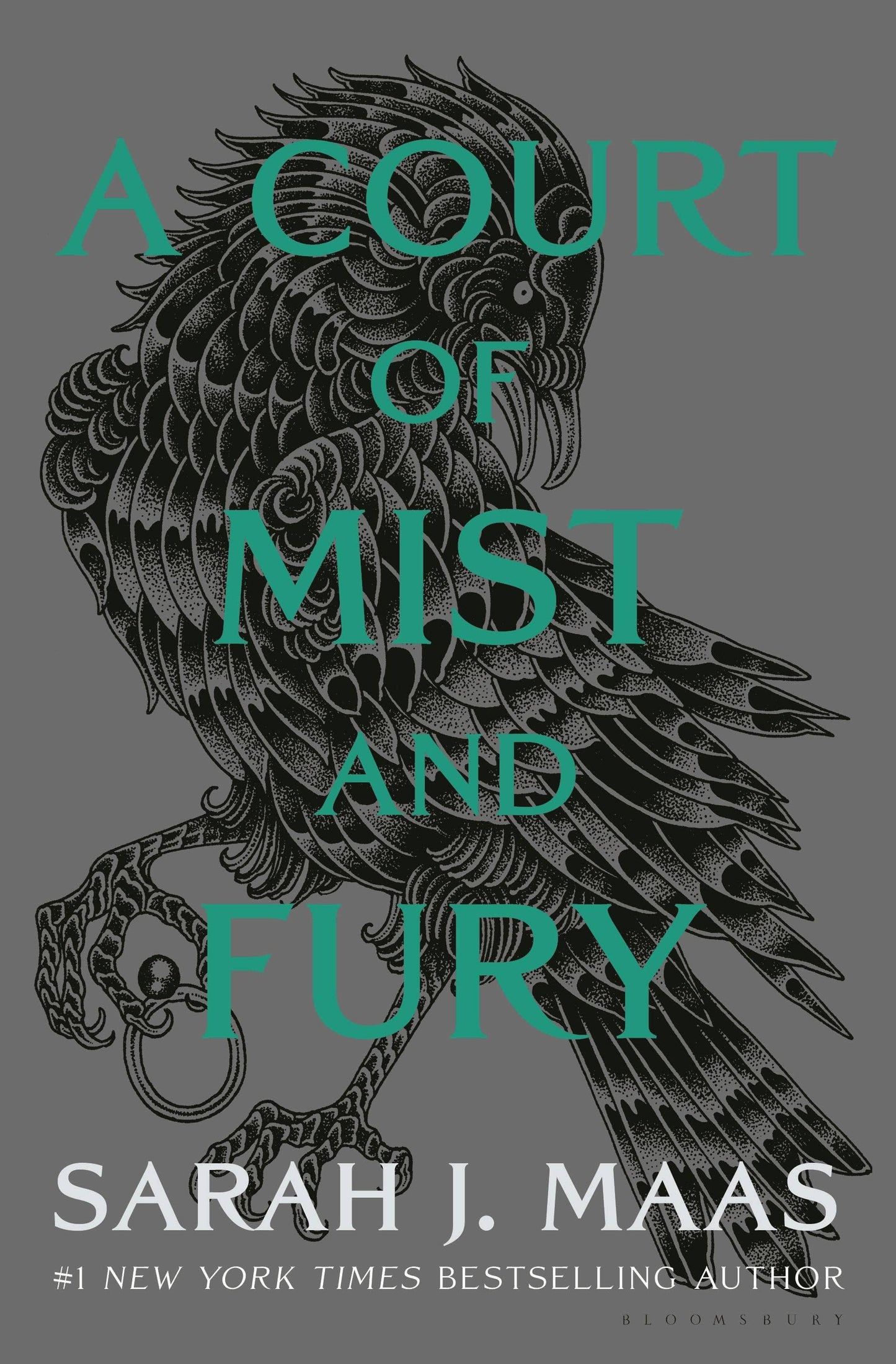 Court Of Mist And Fury Adult #2