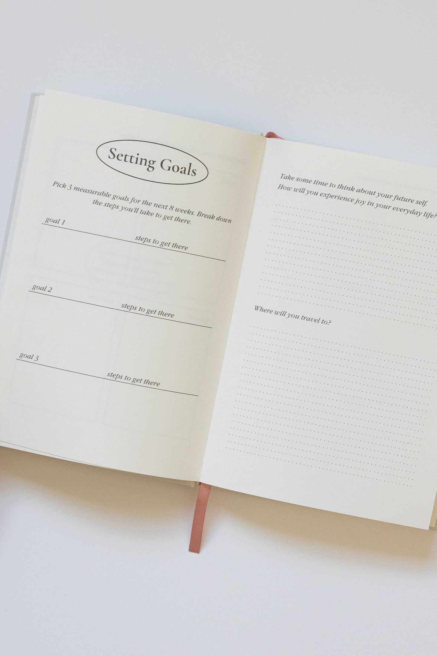 Cool Girls Have Wellness Journals