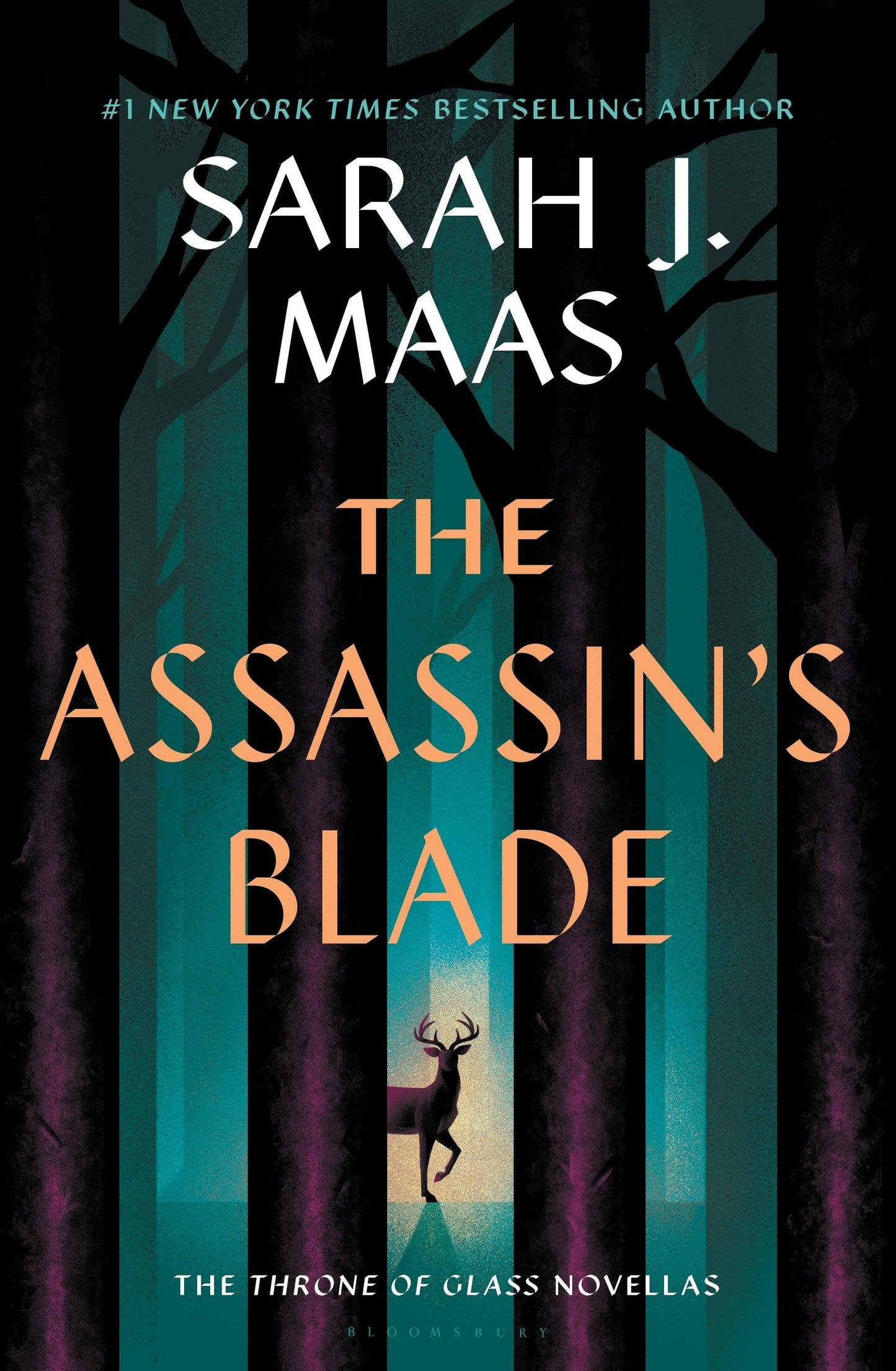 Assassins Blade: The Throne of Glass Prequel Novellas #1