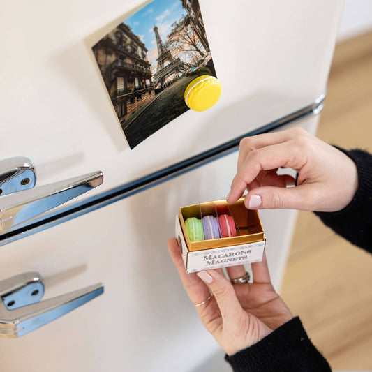 Colorful MACARON magnets