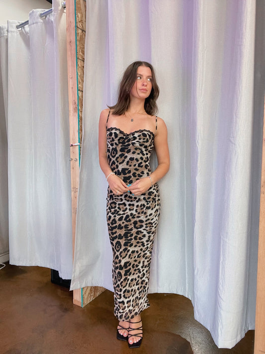 Animal Print Maxi Dress