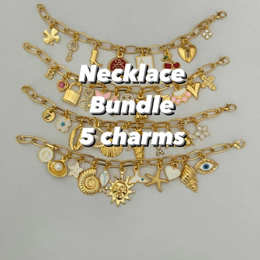 Necklace Bundle-5 charms