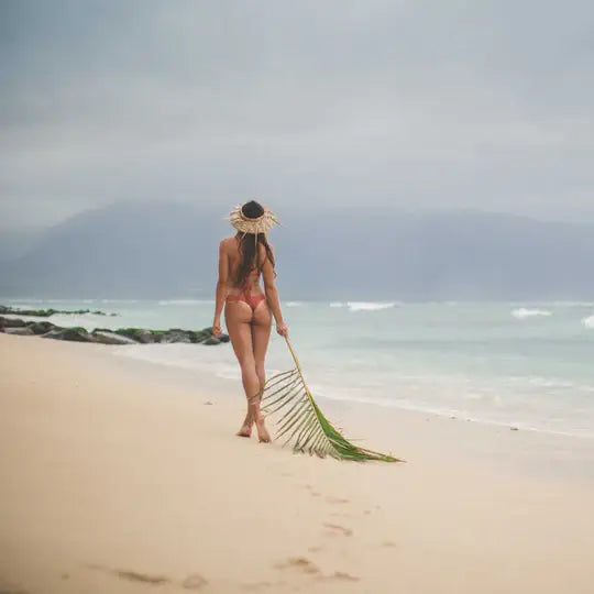 Browning Formula Maui Island Secret