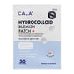 Hydrocolloid 120 Blemish Patch Set
