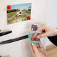 Colorful STRAWBERRY magnets