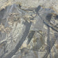 LL Mossy Woods Camo Long Sleeve