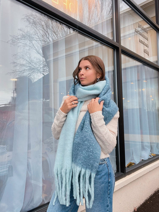 Cozy Two Tone Tassle Scarf