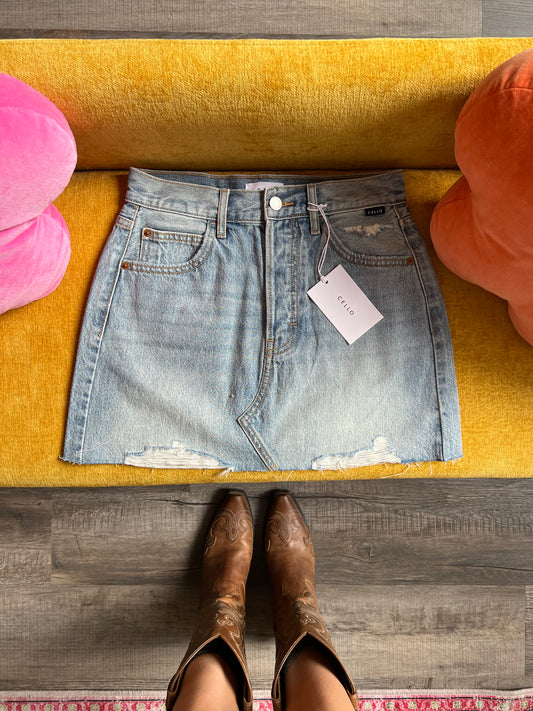 Classic Denim Skirt