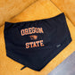 Oregon State V-Bandeau