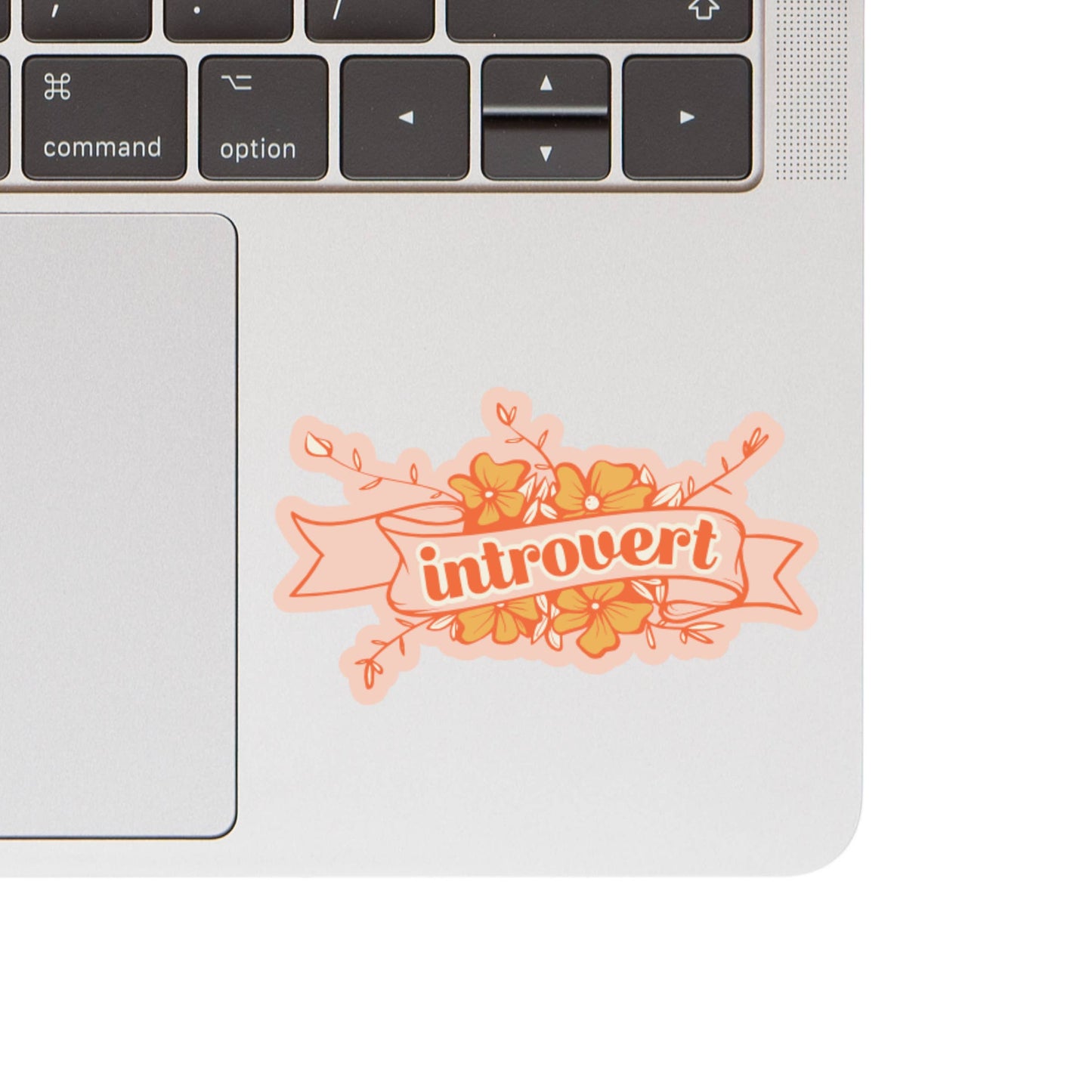 Introvert Vinyl Sticker