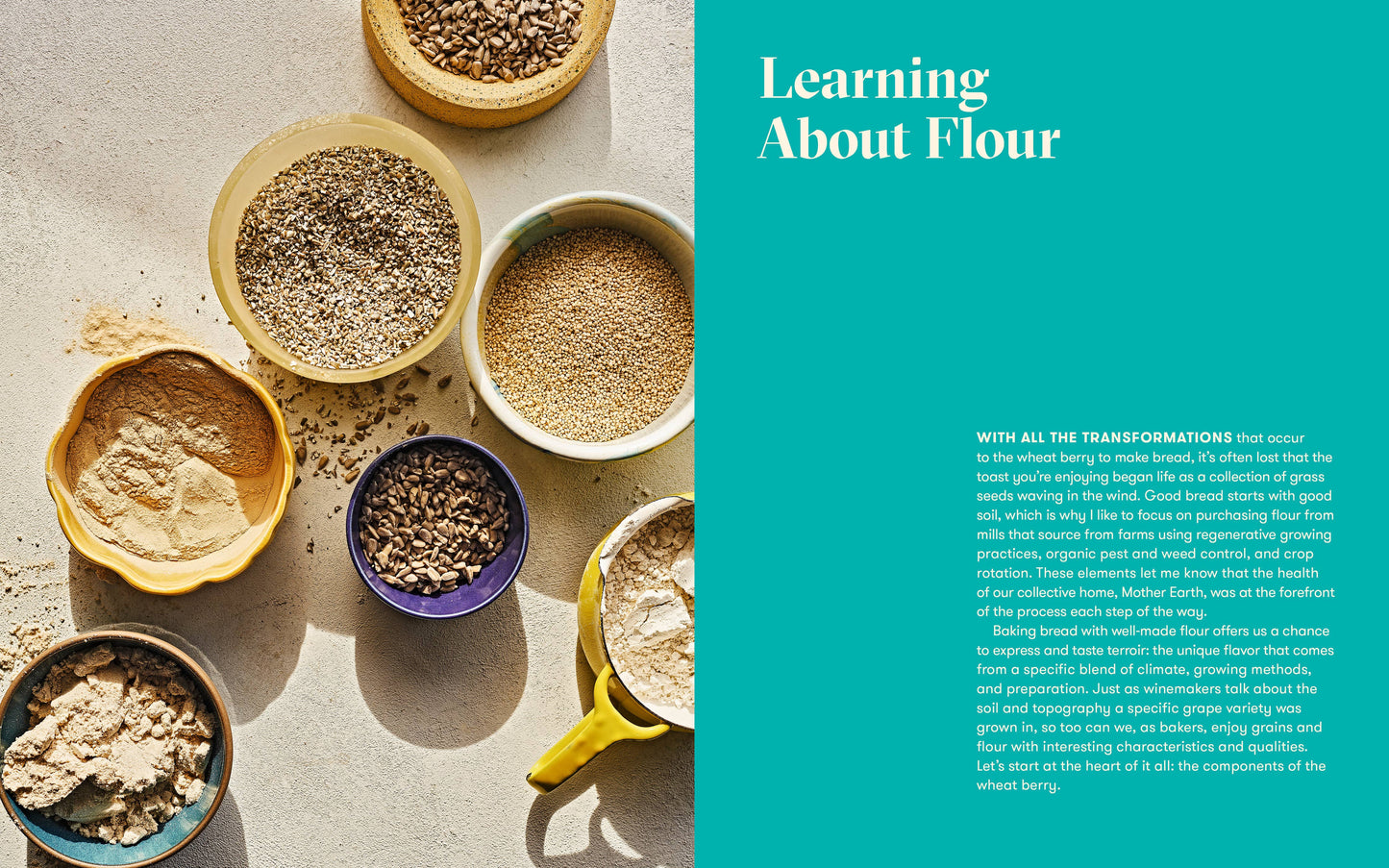 Flour Power: Sourdough Bread