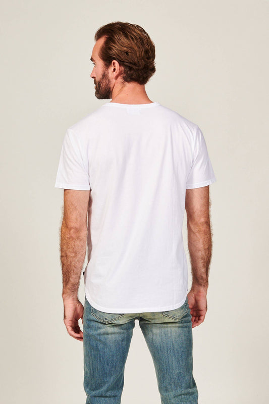 Dime Curved Tee | White: S / White