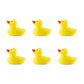Colorful duck magnets
